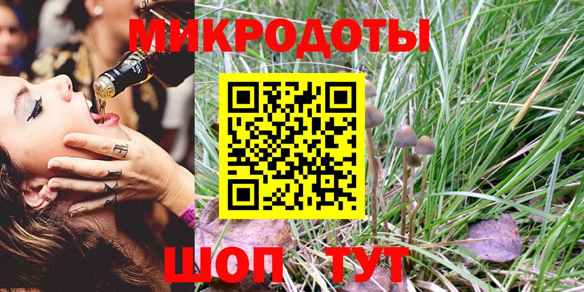 Нижнекамск  Псилоцибиновые грибы Psilocybine cubensis  Вход с VPN 