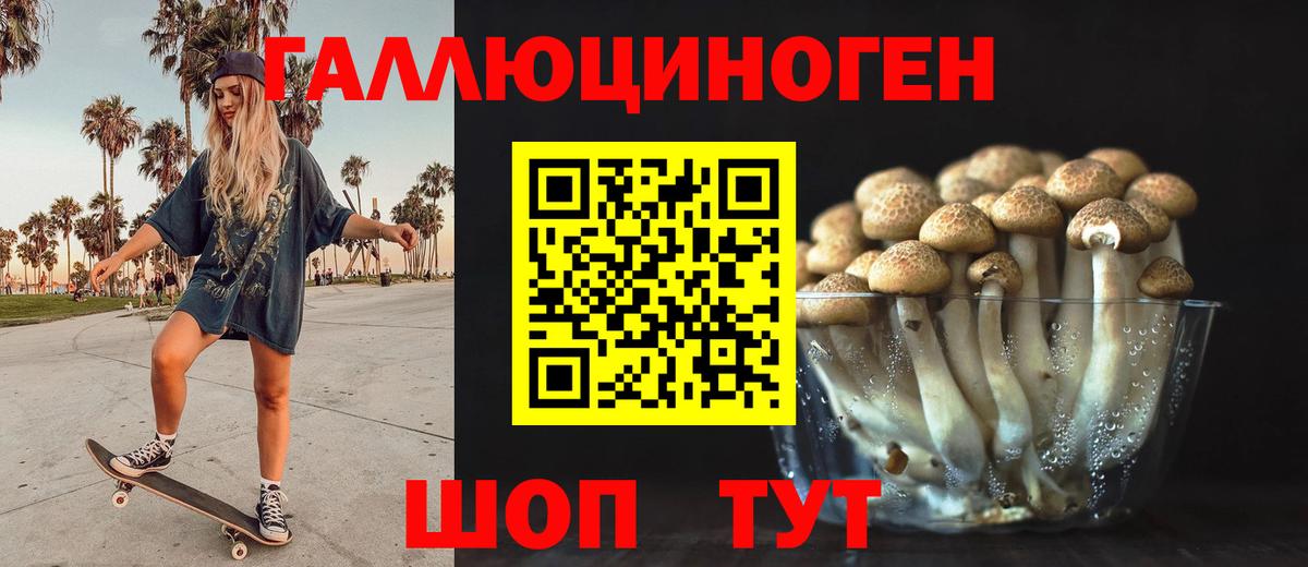 Псилоцибиновые грибы Psilocybe Нижнекамск